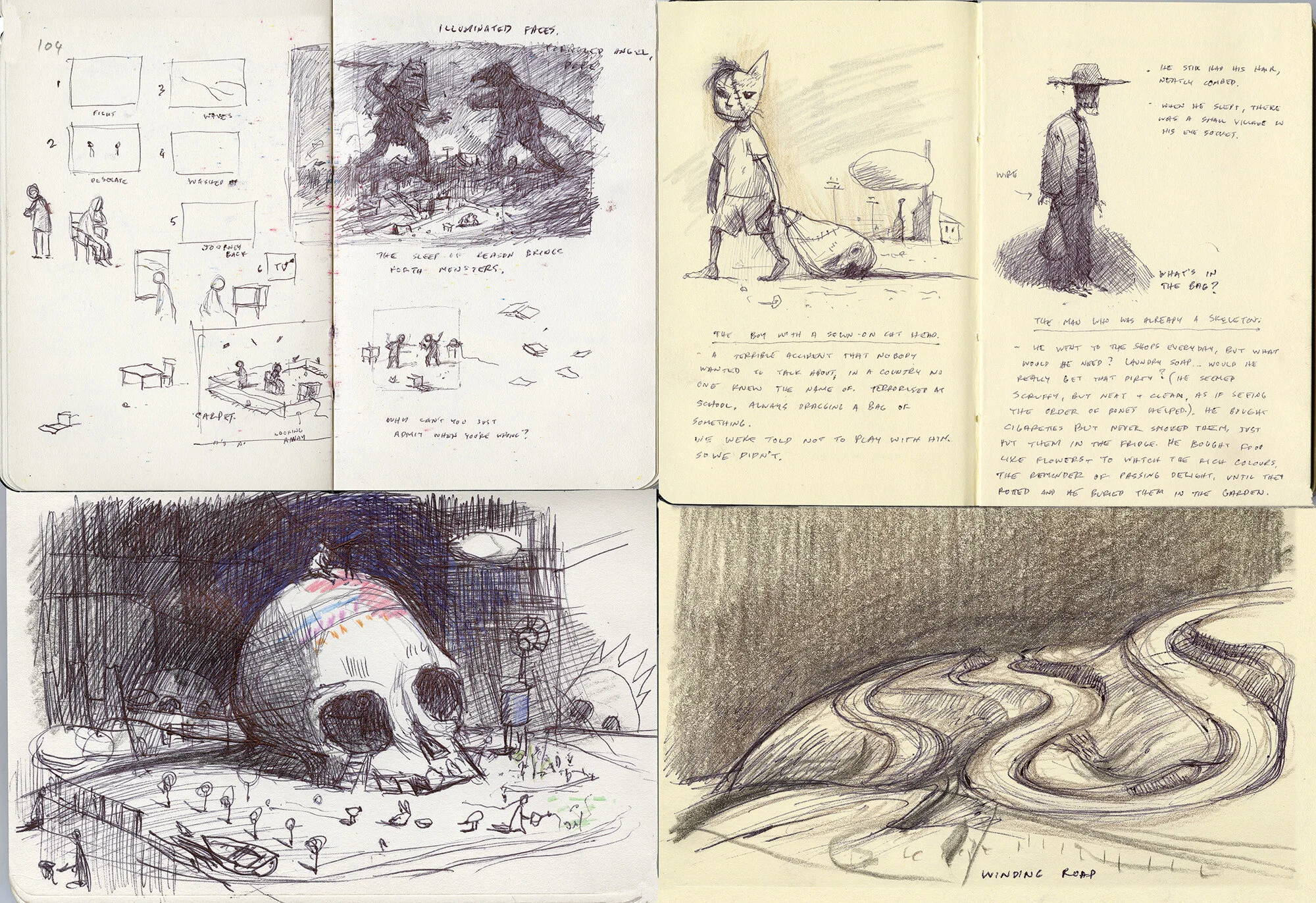 Bird King book — shaun tan